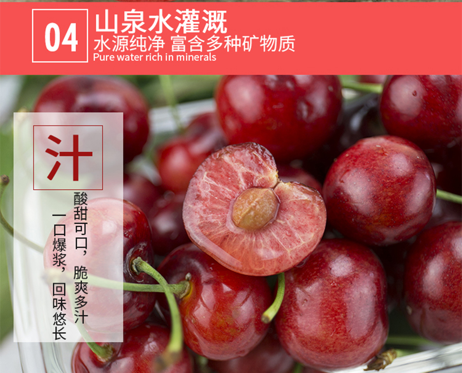原生态樱桃_07.jpg